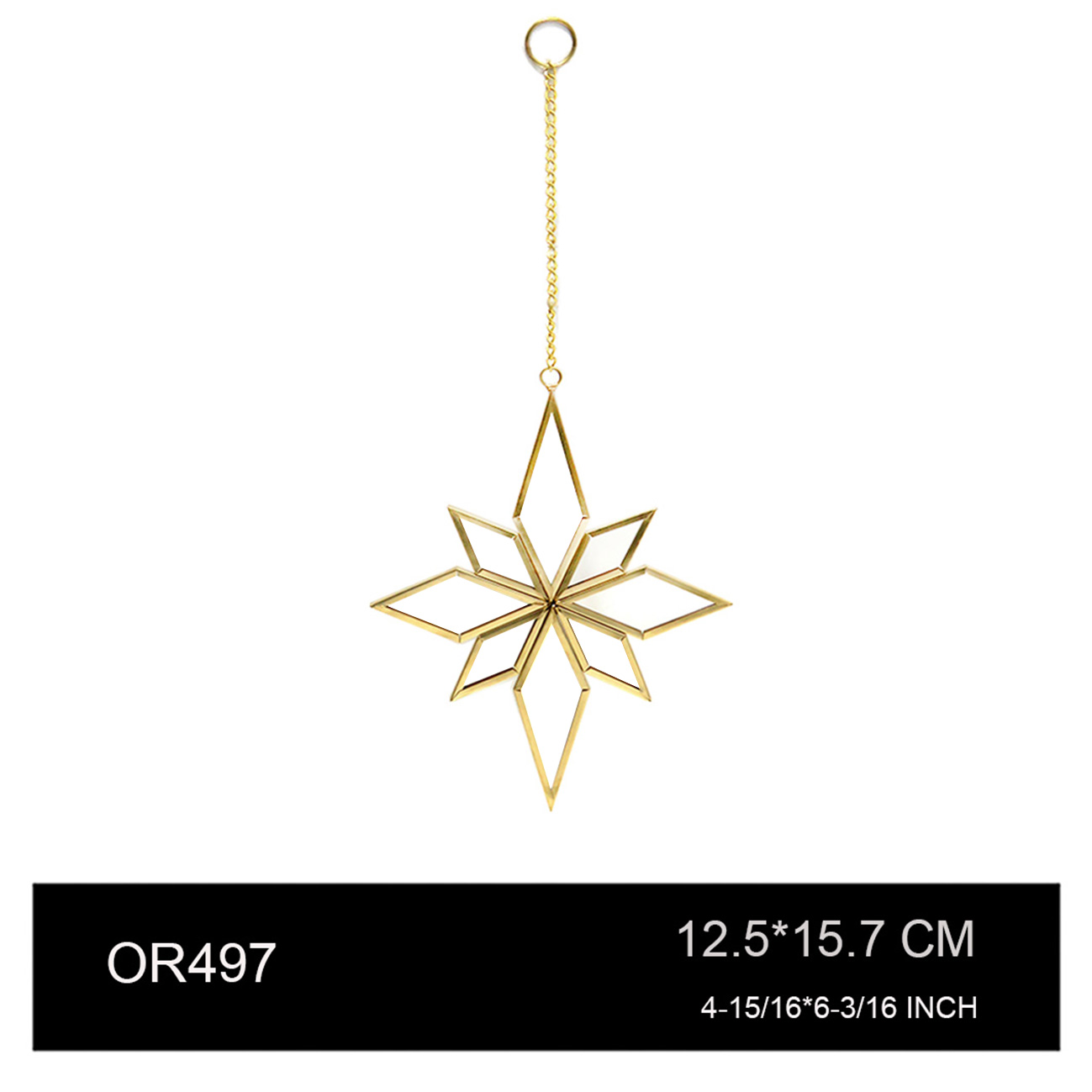 OR497