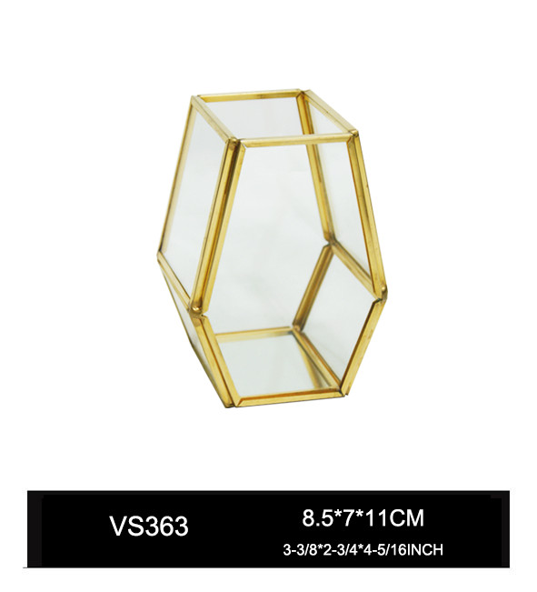 VS363