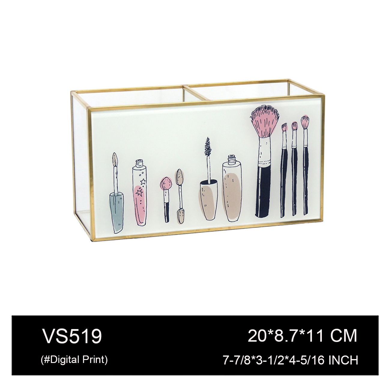 VS519