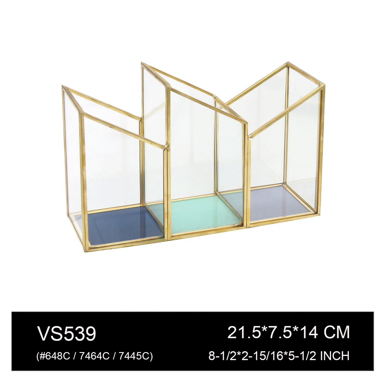VS539